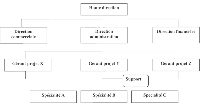 Figure  10. La  structure par proj et - 1 