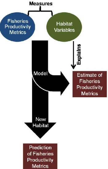 Figure 1:  Flowchart detailing an example of the fish habitat modeling process. 
