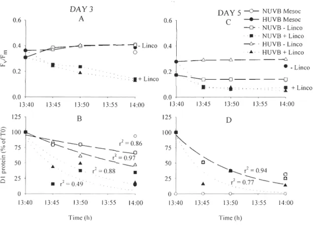 Figure 2.4  Kinetics of maximal  quantum  y i e ld  of  photochemistry (FvfF m)  from the short- short-term  incubations  performed  on  days  3  (A)  and  5  (C)  in  Ubatuba