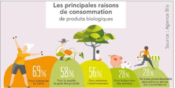 Figure 2 : Les principales raisons de consommation de produits biologiques (Agence BIO, Spirit Insight, 2019) 