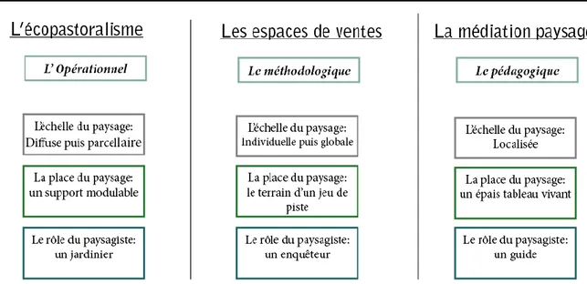 Figure 11 : Schéma d’analyse des trois démarches paysagères menées dans le cadre de l’AMI 