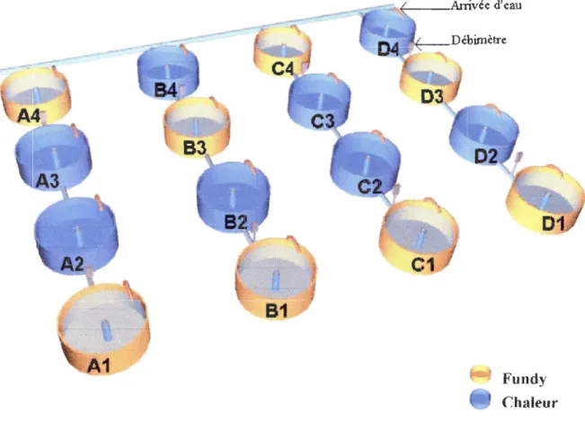 Figure 1  Schéma du dispositif expérimental. 