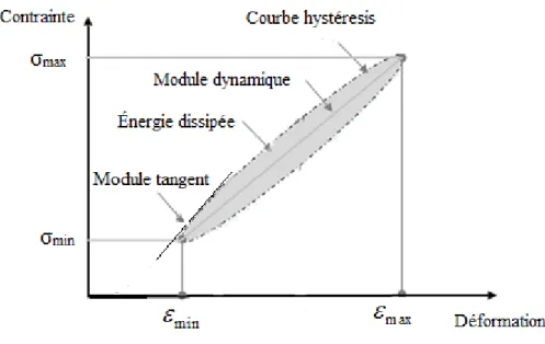 Figure VI.3. Identification des variables explicatives de l'endommagement sur la boucle hystérésis 
