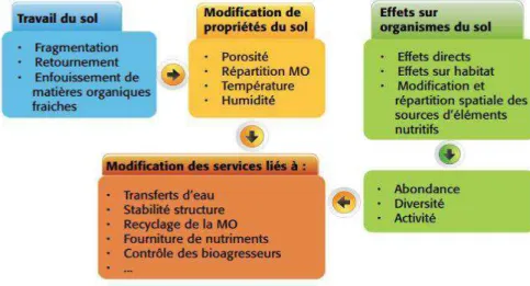 Figure  2:  Schéma  conceptuel  des  effets  du  travail  du  sol  sur  les  organismes  vivants  du  sol,  les  fonctions  et  services  écosystémiques  (Bouthier  et  al.,  2014)