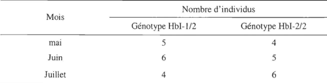 Tableau  4.  Nombre  d'individus par mois  et  génotype  d ' hémoglobine dont  le  PTF a été  détenniné 