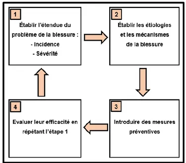Figure 6 : Séquence de prévention de van Mechelen et al (64) 