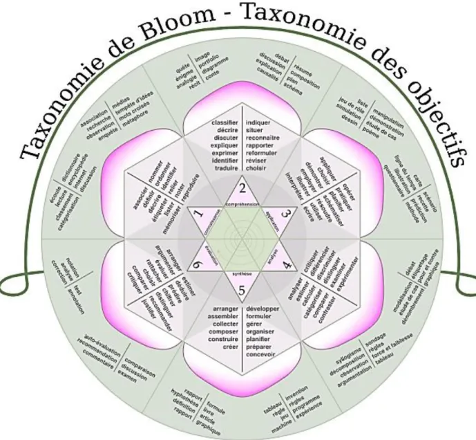 Figure 5 : La roue de la taxonomie de Bloom (1956) 14