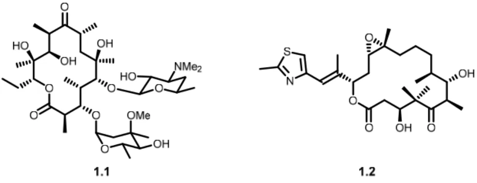 Figure 1.2 Structures of erythromycin A (1.1) and epothilone B (1.2) 