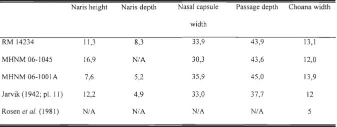 Table 1  Relative dimensions of nasal capsule related  structures among three specimens of 