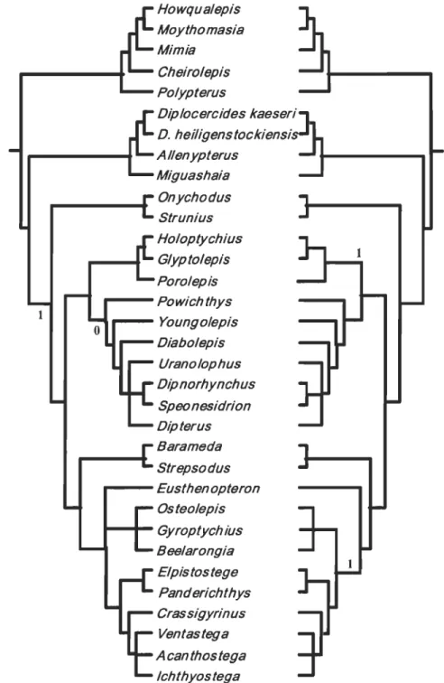 Figure 4  Strict consensus trees obtained from previously published matrices. Trees  obtained from: A