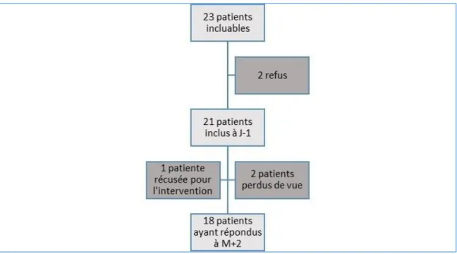 Figure 1 – Flow chart 