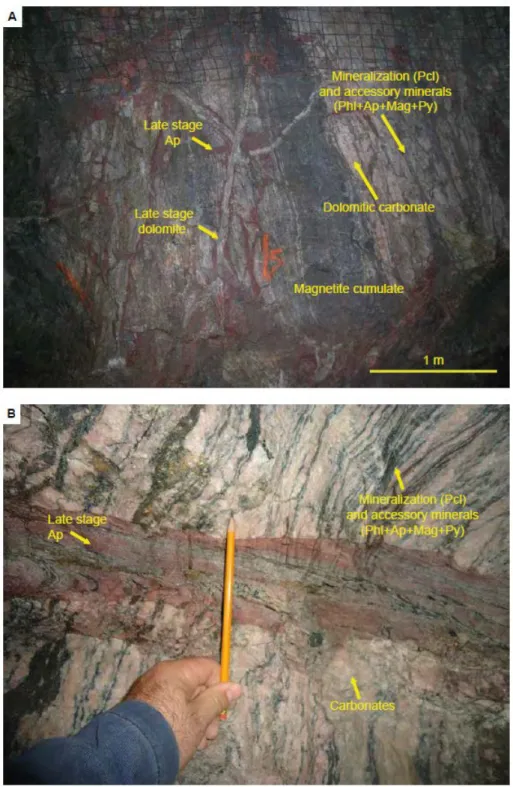 Fig. 2. Underground views of mineralized zones. (A) Dolomitic matrix with mineralized  735 