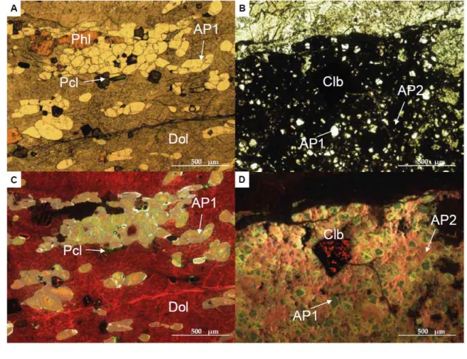 Fig. 6. Euhedral pyrochlore associated with a magmatic apatite (AP1) cluster and accessory  753 