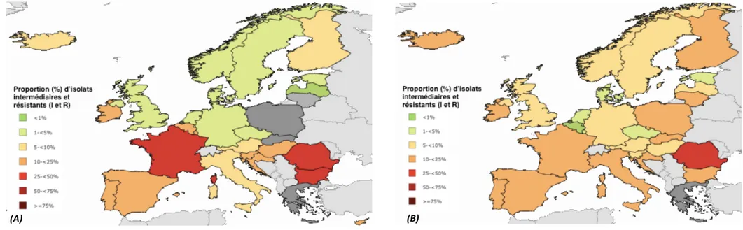 Figure 9 : Prévalence des PSDP en 2005 (A) et en 2015 (B) dans les pays participant à la surveillance de l’ECDC (Source : ECDC - Surveillance Atlas of Infectious Disease)     