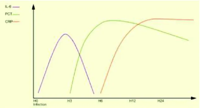 Figure 11 : Cinétique de l’évolution de différents marqueurs, IL-6, PCT, CRP chez le nouveau-né  [51]   