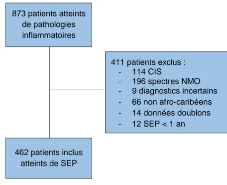 Figure 5 : Diagramme de flux présentant la cohorte de patients sélectionnés selon les critères  d’inclusion 