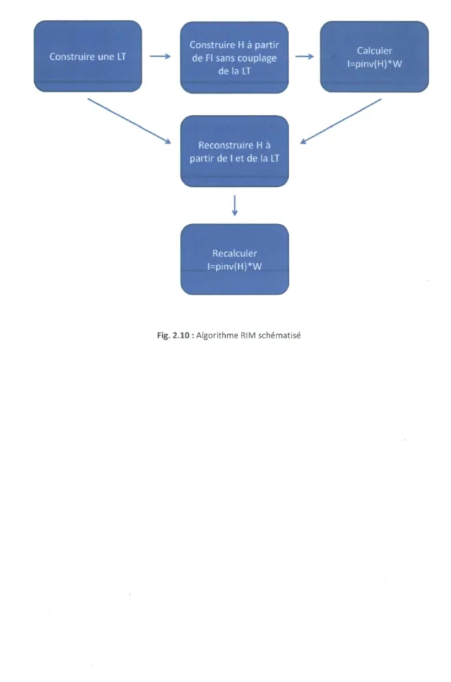 Fig. 2.10 : Algorithme RIM schématisé 