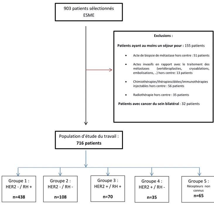 Figure 3 : Description de l’inclusion des patients  