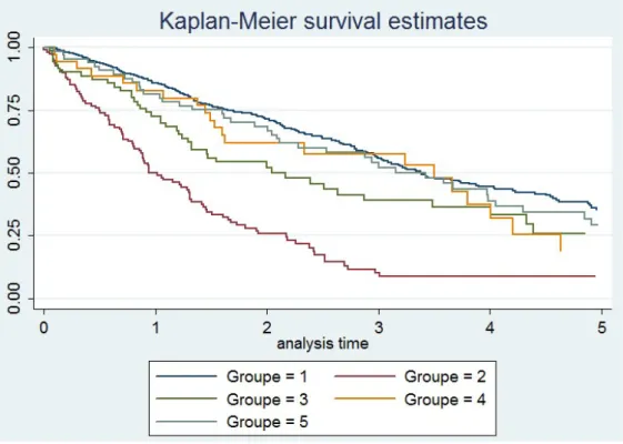 Figure 4 : courbe de survie des patients inclus dans notre étude 