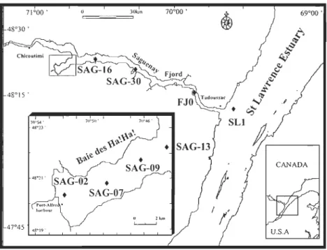 Figure 1 : Localisation des  stations échantillonnées dans l'estuaire du Saint-Laurent, le  fjord du Saguenay et la baie  des  Hama!