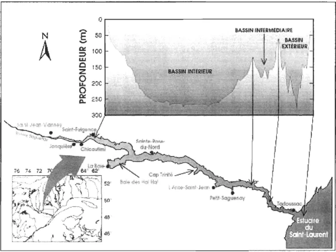 Figure  1.  Localisation du site d' étude, le fjord  du  Saguenay (Canada) 