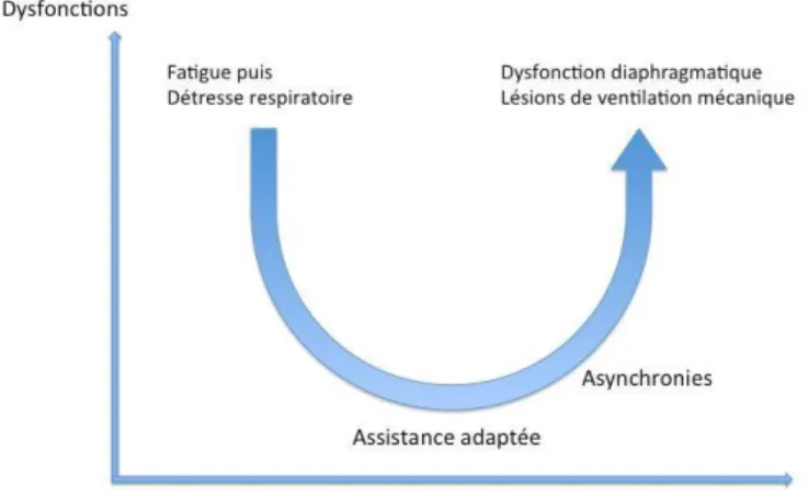 Figure 8 : dysfonction respiratoire selon le niveau d’assistance. 