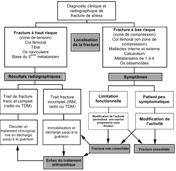 Figure 2 : Attitude diagnostique et thérapeutique à suivre devant une fracture de fatigue 