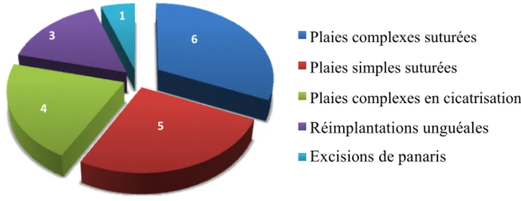 Figure 5: Répartition des différentes plaies rencontrées en consultation post-urgence