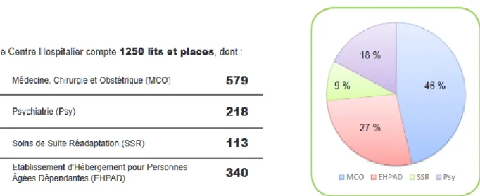 Figure 8 : Répartition des lits et places par activité en 2015 [32]