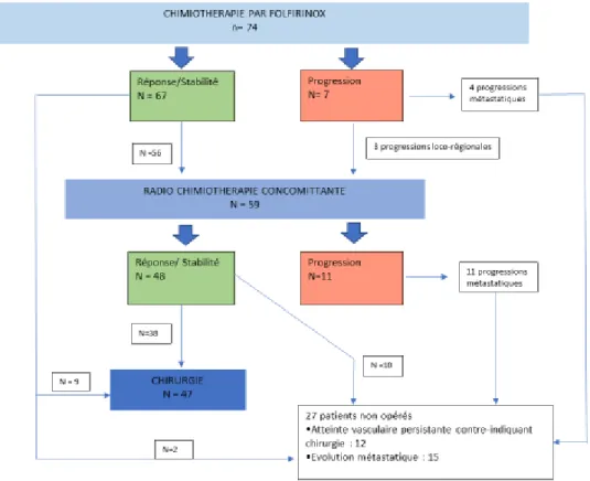 Figure 6 : résumé du traitement d’induction et évolution  