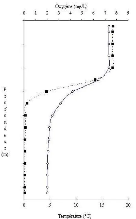 Figure 3. Profil de la température (trait plein) et de l’oxygène dissous (trait pointillé) en  fonction de la profondeur pour le lac Croisé, le  3 septembre 2004.