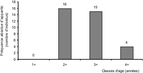 Figure 6. Distribution des classes d’âge des ombles de fontaine (Salvelinus fontinalis) capturés par la  pêche expérimentale au lac Carré.