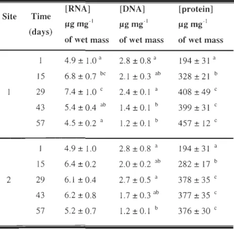 Table 3  Nucleic acid and protein concentrations (mean  ±  S.D .)  of j uvenile  winter flounder for 