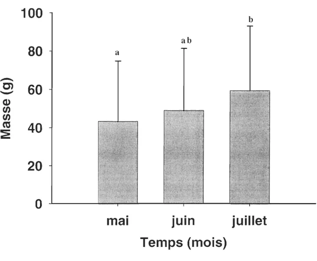 Figure 4  Croissance en masse des juvéniles sauvages au  cours  de la période estivale