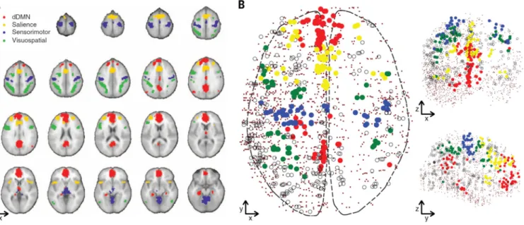 Fig. 1. Functional networks in MRI and gene expression data