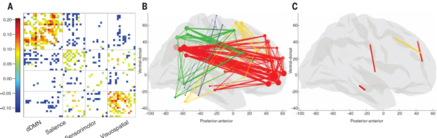 Fig. 2. In vivo functional connectivity differences related to the consensus gene list