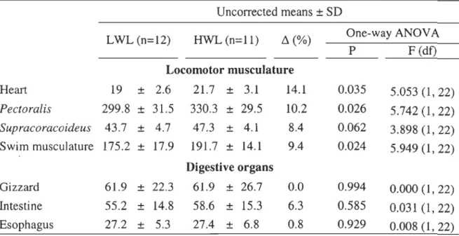 TABLE  3.  Comparison  of  locomotor  musculature  and  digestive  organs  (g)  between  females  of  high  (HWL)  and  low  (LWL)  wing-loading