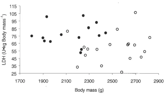 FIGURE  2.  Relationship between body mass-specific total  LDH activity and body  mass  of pre-Iaying common eiders 