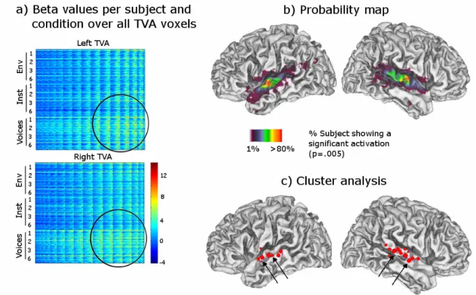 Figure  1.  Representation  of  spatial  variability  across  the  Temporal  Voice  Area  (TVA)