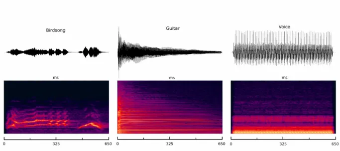 Figure 2. Spectral analysis of complex sound stimuli. Spectral analysis and waveforms of a  birdsong, a guitar note played at C3, and a male human pronouncing the french vowel |a|
