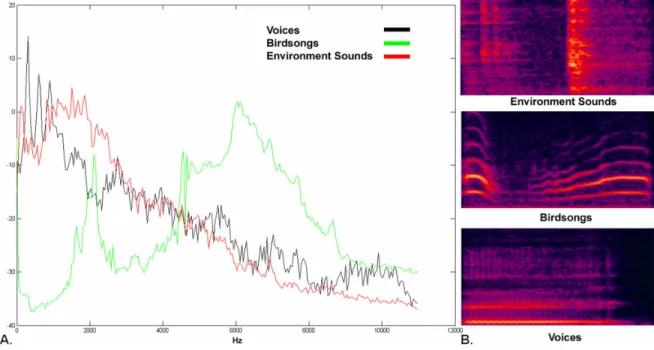 Figure 1.  Auditory stimuli. (a) Long-term average spectrum of the three sound categories