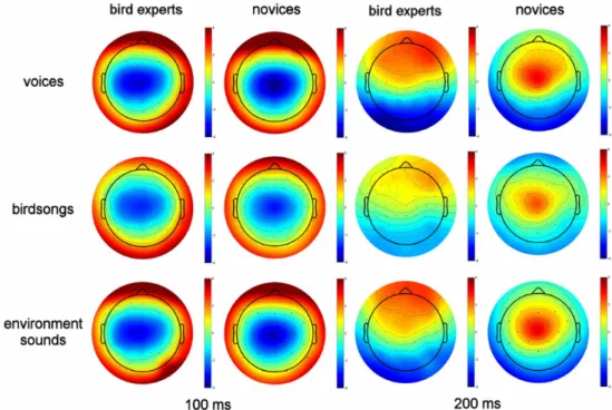 Figure 4. Electroencephalography scalp topography. Scalp potential maps are shown at 100  and  200  ms  for  bird  experts  and  novices,  for  all  three  sound  categories.Colourscales  indicate scalp potential (µV).The right frontal positivity in bird e
