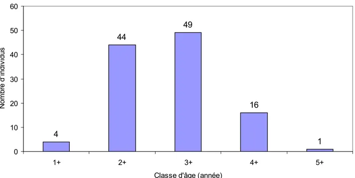 Figure 6. Distribution des groupes d'âge des ombles de fontaine capturés par la pêche                      expérimentale au lac Landry