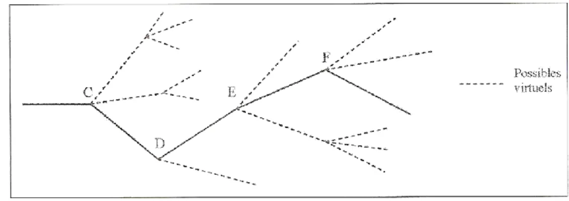Figure 0-4. La contingence et les possibles virtuels de l'histoire (Orange-Ravachol, 2003, p.78)
