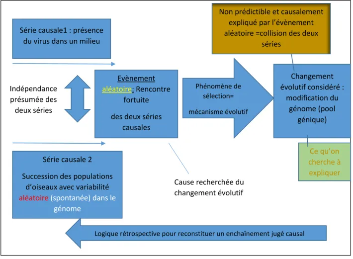 Figure 1-5. Modèle de la logique darwinienne et sa dynamique explicative historique dans un  paradigme darwinien selon Anne Fagot-Largeault qui se réfère à Cournot (1872, Vrin 1975) avec  distinction des mécanismes et des causes 