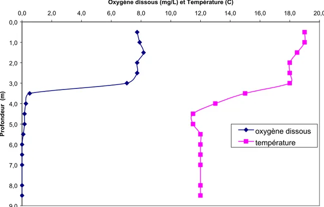 Figure 3: Distribution de l'oxygène dissous et de la température en fonction de la profondeur                  d ans le lac Dugas le 6 septembre 2002