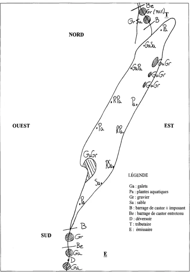 Figure  1.  Localisation des sites potentiels de fraie pour l'omble de fontaine au Lac Dugas