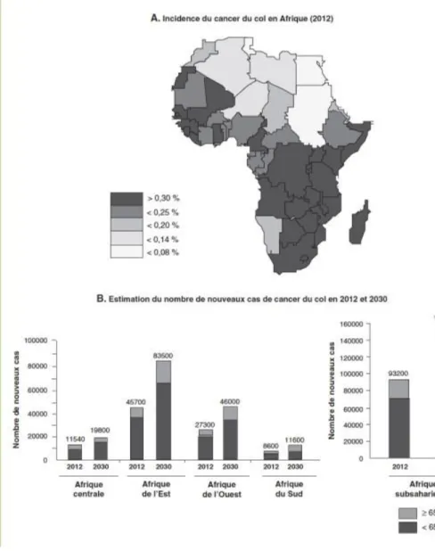 Figure VI : A) incidence estimée du cancer du col en 2012 (nombre de cas pour 100 000 femmes) B)Estimation et  évolution du nombre de nouveaux cas de cancer du col entre 2012 et 2030 selon l’âge 