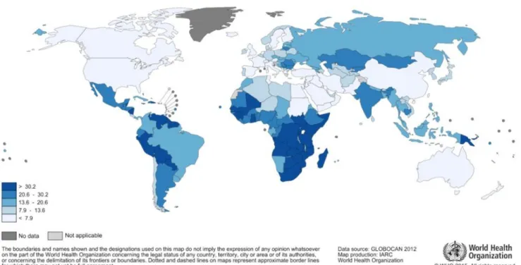 Figure VII : Estimation de l’incidence du cancer du col de l’utérus en 2012 dans le monde 