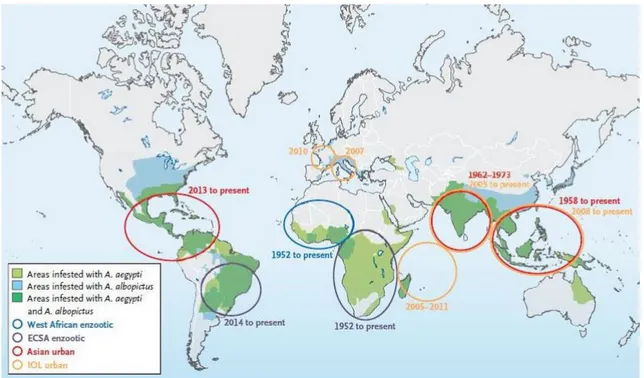 Figure 2 : Origine, diffusion et distribution du virus du chikungunya et de ses vecteurs  N Engl J Med
